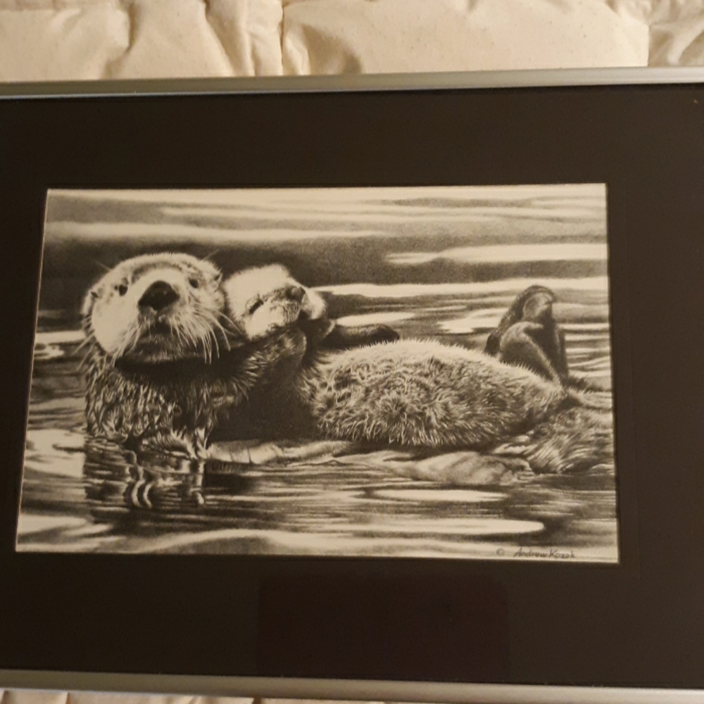 Andrew Kosak framed otter art